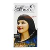 Avantguardo squid ink dye dark brown / 아방가드로 오징어먹물 염색약 진한갈색