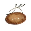 Olive Wood Soap Dish