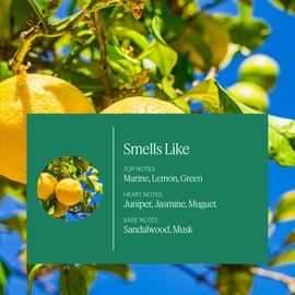 Aera Home Hygiene Linen and Lemon - Essential Oil for Home – Citrus and Clean Laundry Fragrance - Notes of Lemon Peel, Copaiba and Pine - Scent Refill - Works with The Aera Diffuser