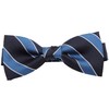 [8] Striped Bow Tie with Polka Dots, H / blue