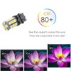 Makergroup S8 3156 Wege LED Bulbs, S-8 3156K Plastic Base