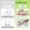 Hewory Small Bud Vases Set of 12: Clear Glass Vases