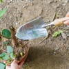 Berry&Bird Garden Serrated Planting Trowel, Multifunctional Shovel with ash Wood
