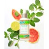 3-pack Aceites De Masaje 414 Ml. - Eucalipto, Lavanda, Menta