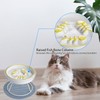 Raised Cat Dog Slow Feeder Bowl with Stand, Cat Slow