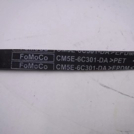 Ford Genuine OEM Ford CM5E-6C301-DA Serpentine Belt for 2012-2018 Ford Focus 2.0