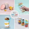 Felli On The Go Yogurt Parfait Snack Cup with Lid,