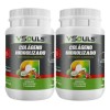 Colágeno Hidrolizado Vsouls ® Duo 2 Botes De Arandano 1.2 Kg
