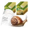 Halfclub/Snail/Cold N Warm/Mask Pack/Travel/High-Adherence/Sheet