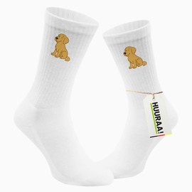 Huuraa Unisex Socks Golden Retriever Goldie Comic Gift Size 37/46 Golden Retriever Gift Idea, multicoloured