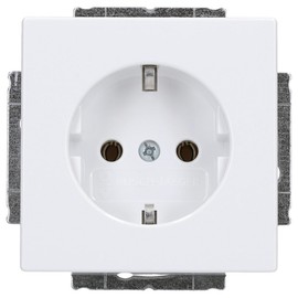 Busch-Jaeger Socket Insert dav/SW 20 EUC-84 (Pack of 10)