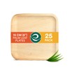 ECO SOUL Compostable 15cm Square Palm Leaf Plates | Pack