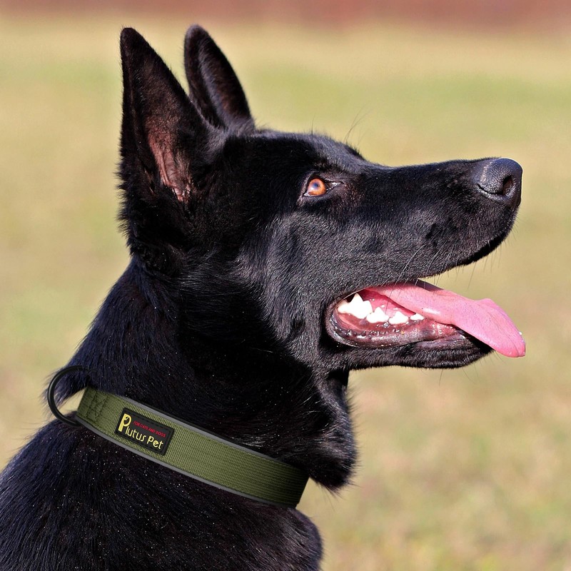 Plutus Pet Tactical Dog Collar, Reflective, Adjustable Heavy Duty Dog