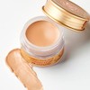 SKINFOOD Salmon Dark Circle Concealer Cream #2 - Concealer for