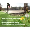 Liquid Harvest Vinegar Weed & Grass Killer - Gallon -