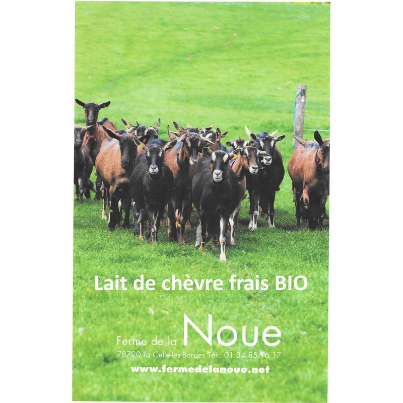 Organic Raw Goat Milk Beauty Mask (2)