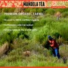 Mandela_Tea_Parent (Rooibos (con lata de regalo))