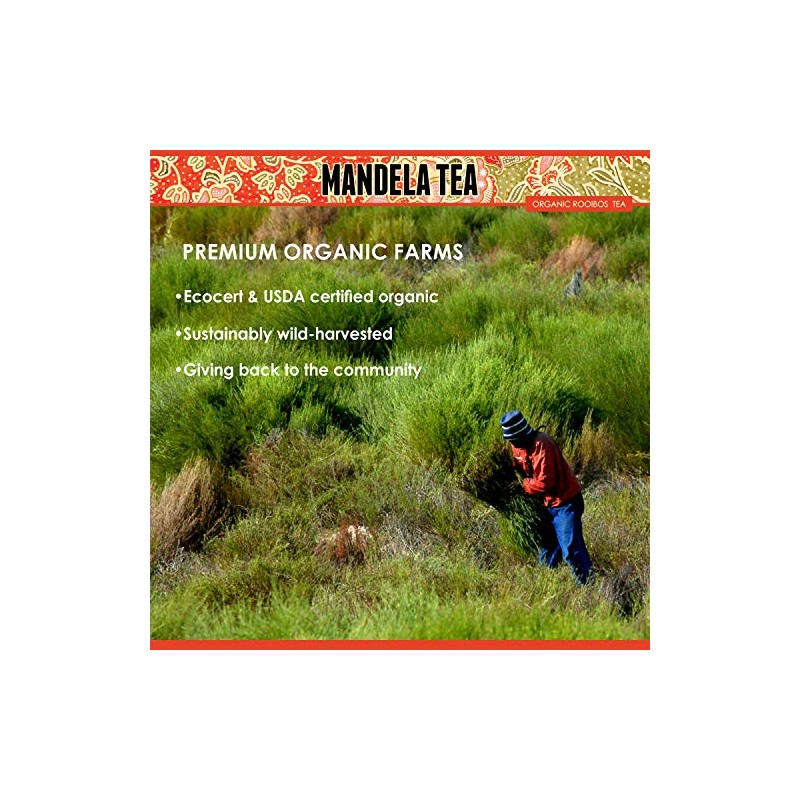 Mandela_Tea_Parent (Rooibos (con lata de regalo))