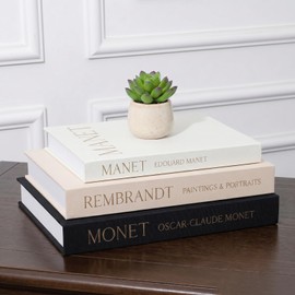 XALBDMNB Decorative Books for Home Decor, Faux Book Storage Box, Fake Book Shelf Decor, Multi-Functional Photo Storage Ornament, Modern Aesthetic Stacked Books for Living Room Shelf Table Decoration