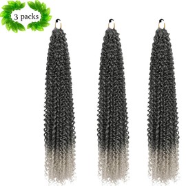 Curly Crochet Hair Extensions Black to Gray Ombre Passion Twist Braids 24Inch Long Curly Braiding Hair 3Packs Springy Crochet Braids Hair Extensions Goddess Box Braids for Black Women(24",1B Gray)