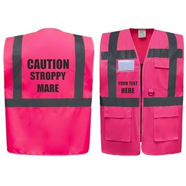 Caution Stroppy Mare! Equestrian Zipped Pink Hi Vis Safety Vest Horse Riding Reflective Waistcoat Road Safety High Visibility, Can Personalise. (Pink, 3XL)