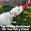 Freedom Dog Tug Toy |2- Handle | Tough & Durable