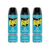 Raid Ant Killer Spray Pine Forest 17.5 Ounce (Pack of