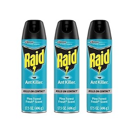 Raid Ant Killer Spray Pine Forest 17.5 Ounce (Pack of 3)