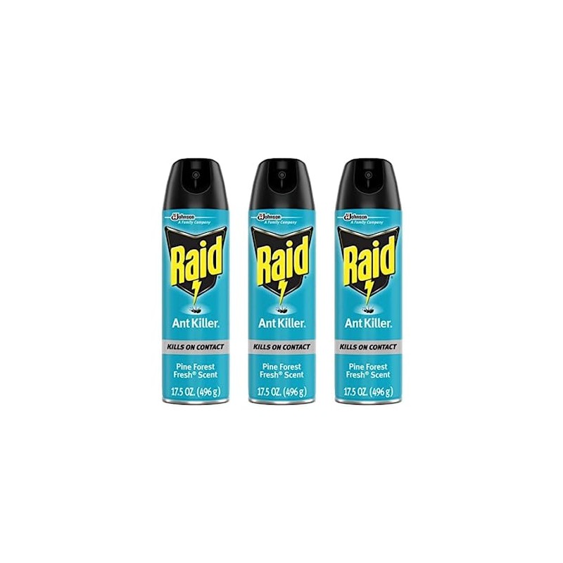 Raid Ant Killer Spray Pine Forest 17.5 Ounce (Pack of