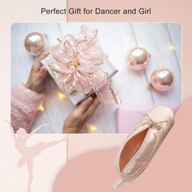 TCULIHWY TCULIHWY Makeup Ballet Bag, Cute Cosmetic Bag Dance Recital Gifts for Girls, Ballet Shoe Pencil Case Small Cosmetic Bag Bow Mini Dance Bag for Girls Makeup Brush Holder Travel (Pink)