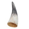 Levemolo Horn Wall Hanging Decoration Cow Horn Bull Horns