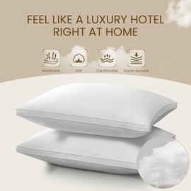 Zaiwoo Pillows Queen Size Set of 2, Soft Fluffy Down Alternative Hotel Quality Pillows, 20x30 Inches Bed Pillows for Sleeping