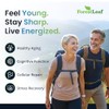 Forestleaf Suplemento de Nad+: 500 Mg de Nad Plus Puro