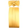 TigerTie Cummerbund Pocket Square Bow Tie in Various Colours -
