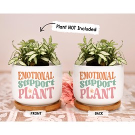 WengBeauty Emotional Support Plant Pot, Funny Planter, Ceramic Mimi Flower Pot, Planting Lover Gift for Friend Coworker, Hang in There, Thinking of You