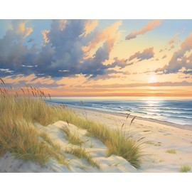 Seascape with Sand Dunes Paint by Numbers Kits for Adults Beginner Digital Art Seaside at Sunset Oil Painting DIY Paint by Number for Home Wall Decoration 16 x20 inch