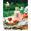 Paris Corner Qissa Pink 100ml (3.4 OZ) Eau de Parfum