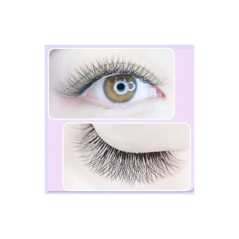 Extensiónes De Pestañas Nagaraku W Shape 6d Mix 8-15mm