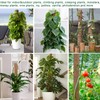 Fabulas Moss Pole 47.5 Inch - Monstera Plant Support, 4
