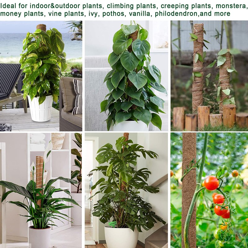 Fabulas Moss Pole 47.5 Inch - Monstera Plant Support, 4