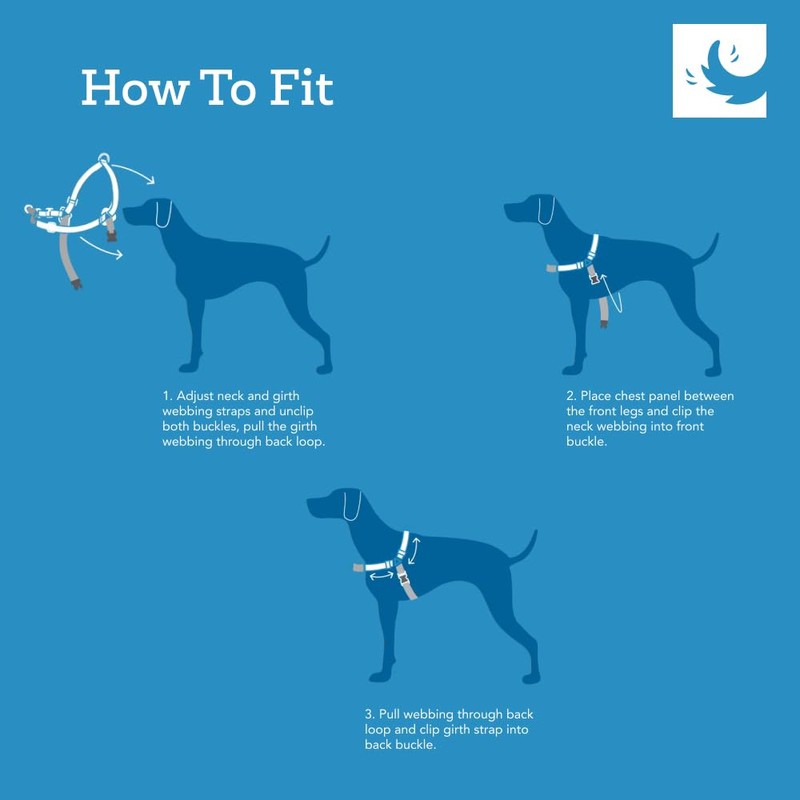 RC Pets Gentle-Fit Trail Smart Reflective Pace No Pull Harness