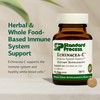 Standard Process Echinacea-C - Supplement for Immune System Support -