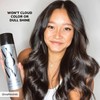 COLOR WOW STYLE ON STEROIDS Texturizing Spray – Achieve Instant