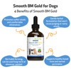 Pet Wellbeing Smooth BM Gold for Cats & Dogs -