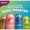 Reed's Strawberry Vanilla Functional Soda - Organic Ginger, Adaptogen Mushroom