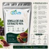 Extracto De Semilla De Uva 95%, 1 Kilo Grado Alimenticio