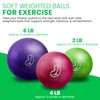 Bean Products Soft Weighted Balls for Exercise - Customizable Workout