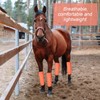Bulyoou Set of 8 Mesh Fly Boots for Horse Breathable
