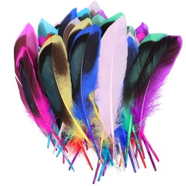 Acooruiteng Feathers Feathers for Crafts Soft Fluffy Feather Colorful Craft Feathers Feathers for DIY Craft Wedding Home Party Festivals Decorations(50 Pcs)