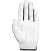 Bogeys and Stogies Golf Glove (Small, Left)